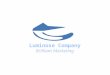 luminose company overview 7-21-2015