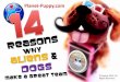 14 Reasons Aliens & Dogs Make a Great Team