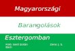 Barangolások magyarországon esztergomban