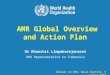 WHO - AMR Global Overview and Action Plan