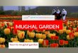 Mughal gardens