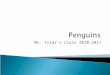 Tyler penguins