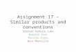 Assignment 17 – similar products and conventions complete (1)