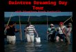 Daintree Dreaming Day Tour agents 2011