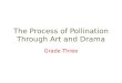 The Process of Pollination Through Art and Drama