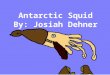 Josiah antarctica