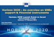 SMEs Support & Financial Instruments in HORIZON 2020 - J.D Malo - Presentation - Israel 3.2.2014