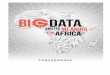 Big Data Paper