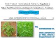 Crop improvement of patchouli & basil by Shivanand M. R