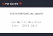 IDCEE 2013: Venturepreneurs @work - Jan Henric Buettner (Founding partner @ BV Capital / e.ventures)