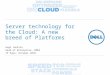 Servers technology for the Cloud: A new breed of Platforms
