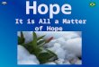 Hope - Main Life Aspects