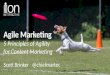 Agile Marketing: 5 Principles of Agility for Content Marketing - Scott Brinker