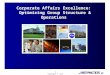 Corporate Affairs Excellence: Optimizing Group Structure & Operations Report Summary