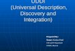 Universal Description, Discovery and Integration