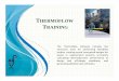 Sample of Thermoflow Training Power Point
