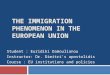 The immigration phenomenon in the european union
