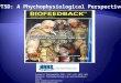 Ptsd a psychological perspective 92911