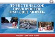 Стратегия ОАО Дед Мороз 2015 2018 гг