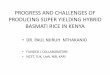 Progress and Challenges of Producing Super Yielding Hybrid Basmati Rice in Kenya