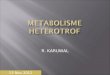 Metabolisme Heterotrof