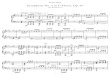Beethoven-Liszt Symphony No. 5 Piano Transcription