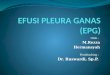 200086 Efusi Pleura Ganas