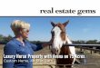 Horse Property -Boarding Business and Home for Sale 6890 CR 409 McKinney
