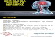 Semiologia Vascular Cerebral
