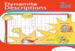 Dynamite Descriptions Workbook