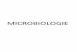 Microbiologie Cantacuzino