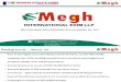 Megh International - Final PPT.pdf