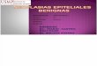 09 Lab. Patología - Neoplasias Epiteliales Benignas