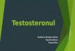 Proiect Biochimie - Testosteron