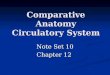 CA Section 12- Circulatory System (Chapter 12)