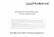 Roland-Print Server