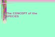 4.3 Species Concept