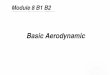 Mod8, B1,B2,Basic Aerodynamics