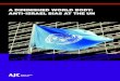 A Diminished World Body: Anti-Israel Bias at the UN