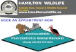 Effective Pest and Wildlife Removal Services Hamilton Wildlife