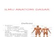 Ilmu Anatomi Dasar