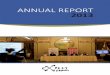 Raportul anual de activitate 2013