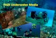 PADI Underwater Media Slides