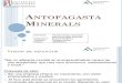 Antofagasta Minerals (1)