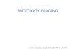 Radiology Imaging of Urinary Tract