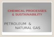Natural Gas Petroleum Industries
