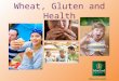 Wheat Gluten and Health Powerpoint Presentation
