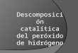 Descomposicion Catalitica Del Peroxido de Hidrogeno