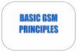 BASIC GSM(11111111)