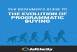 Programmatic Beginners eBook